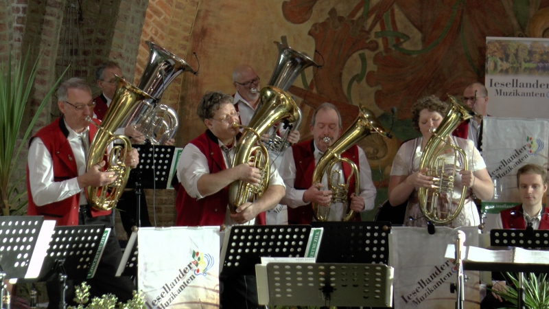 Nieuwjaarsconcert_Megchelen_2020_20